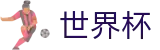 美加墨世界杯官方买球网站 | 加密安全通道和中文认证